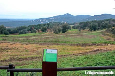 Conociendo a Mercè Rodoreda: itinerario literario y de naturaleza por Romanyà de la Selva