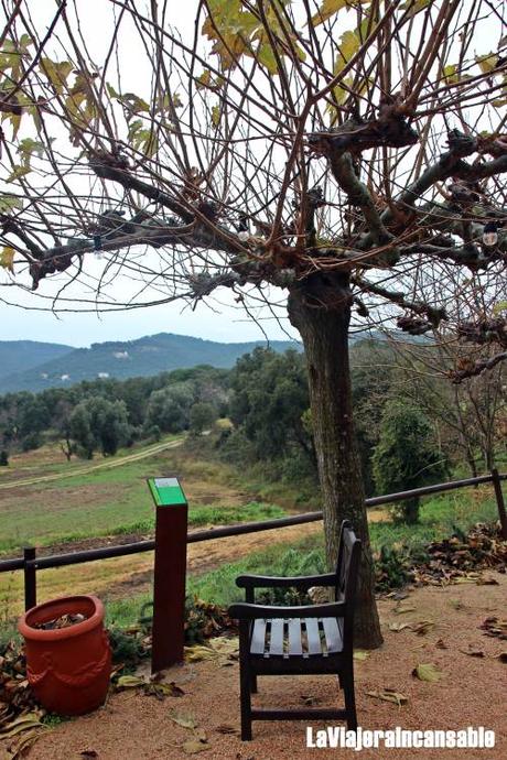 Conociendo a Mercè Rodoreda: itinerario literario y de naturaleza por Romanyà de la Selva