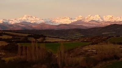 Práctica de la razón