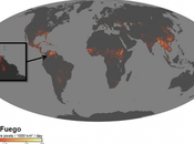 animación NASA muestra incendios forestales nuestro planeta desde 2000 2018…Venezuela registros significativos