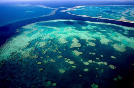 Un nuevo estudio sugiere que en las próximas décadas el cambio climático afectará el color de los océanos, intensificando sus regiones azules y verdes