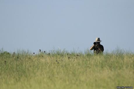 Censo Neotropical de Aves Acuáticas (febrero 2019)