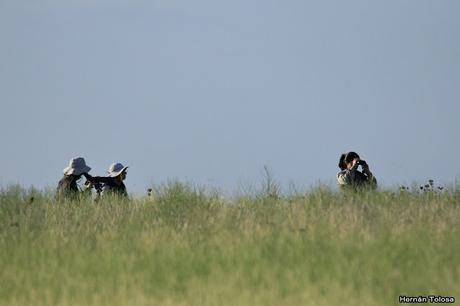 Censo Neotropical de Aves Acuáticas (febrero 2019)