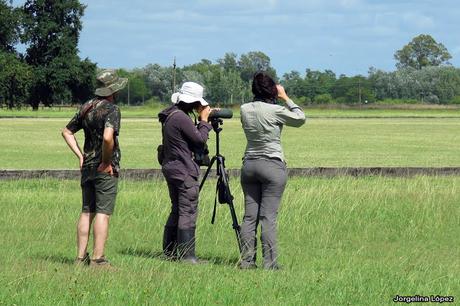 Censo Neotropical de Aves Acuáticas (febrero 2019)