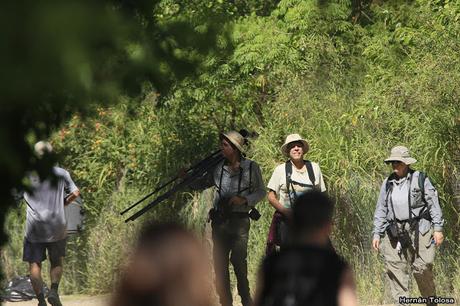 RECS (diciembre de 2018)