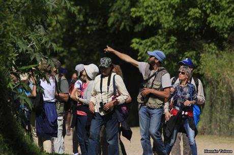 RECS (diciembre de 2018)