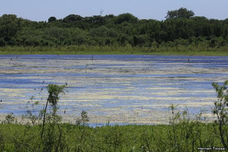 RECS (diciembre de 2018)