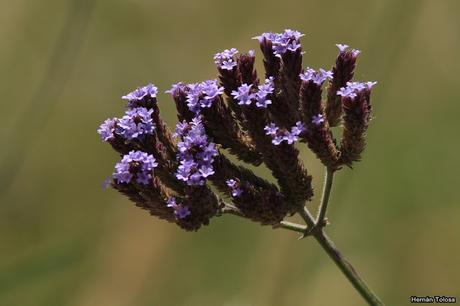 Salida realizada a Ceibas (9 de diciembre de 2018)
