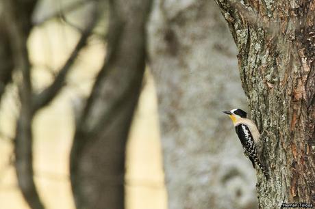 Salida realizada a Ceibas (9 de diciembre de 2018)