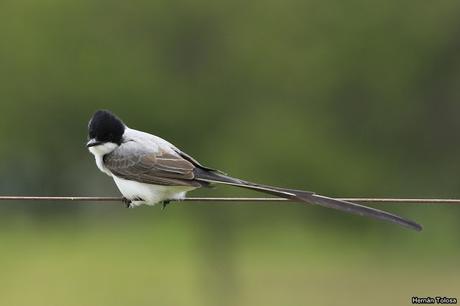Salida realizada a Ceibas (9 de diciembre de 2018)