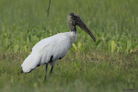 Salida realizada a Ceibas (9 de diciembre de 2018)