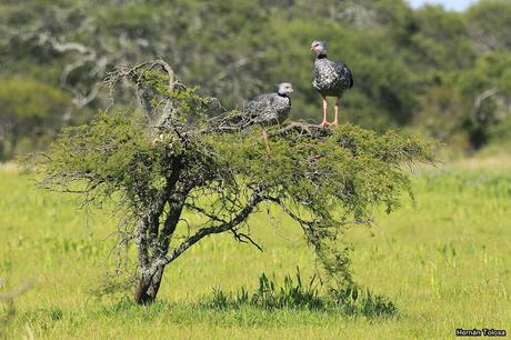 Salida realizada a Ceibas (9 de diciembre de 2018)
