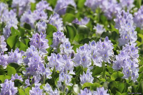 Salida realizada a Ceibas (9 de diciembre de 2018)