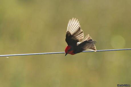 Salida realizada a Ceibas (9 de diciembre de 2018)