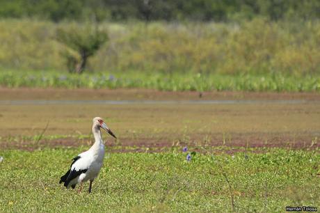 Salida realizada a Ceibas (9 de diciembre de 2018)