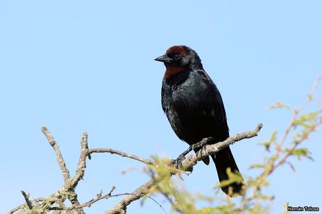 Salida realizada a Ceibas (9 de diciembre de 2018)