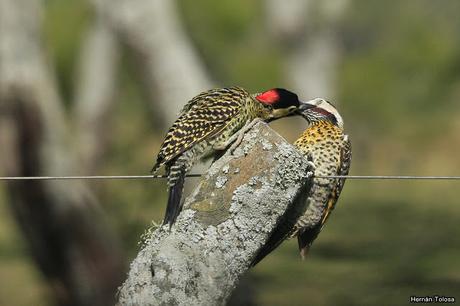 Salida realizada a Ceibas (9 de diciembre de 2018)