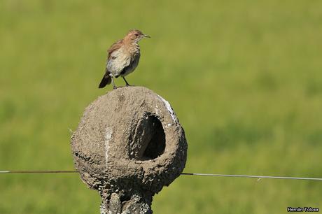 Salida realizada a Ceibas (9 de diciembre de 2018)