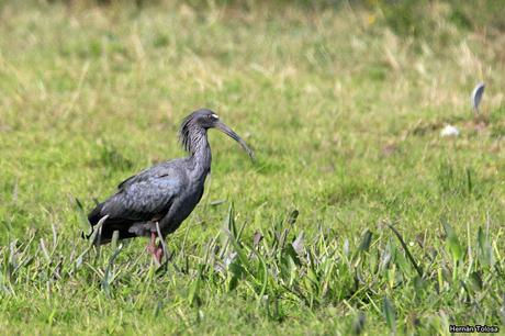 Salida realizada a Ceibas (9 de diciembre de 2018)