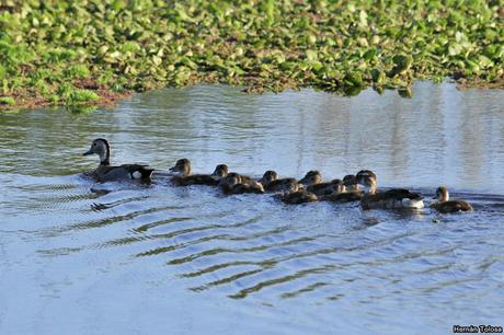 Salida realizada a Ceibas (9 de diciembre de 2018)