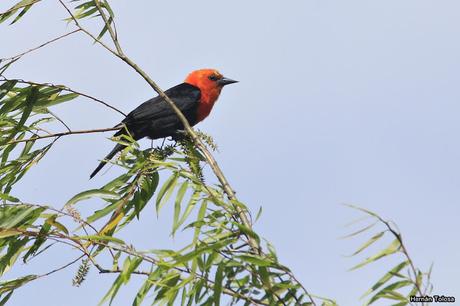 Salida realizada a Ceibas (9 de diciembre de 2018)