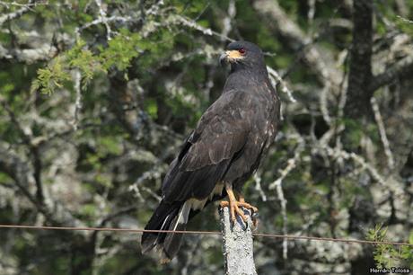 Salida realizada a Ceibas (9 de diciembre de 2018)