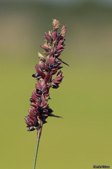 Salida realizada a Ceibas (9 de diciembre de 2018)