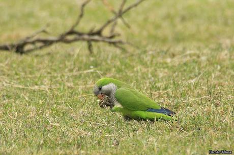Salida realizada a Ceibas (9 de diciembre de 2018)