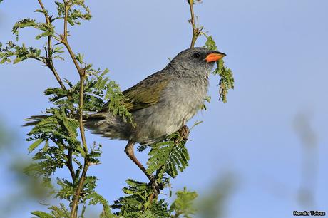 Salida realizada a Ceibas (9 de diciembre de 2018)