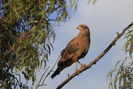 Salida realizada a Ceibas (9 de diciembre de 2018)