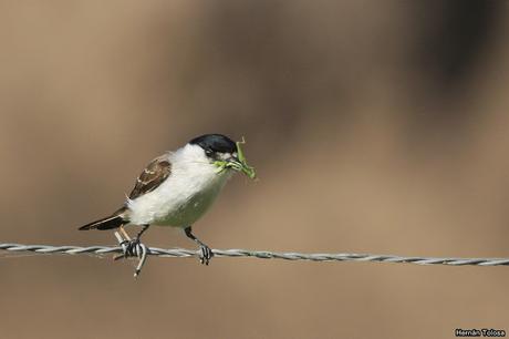 Salida realizada a Ceibas (9 de diciembre de 2018)