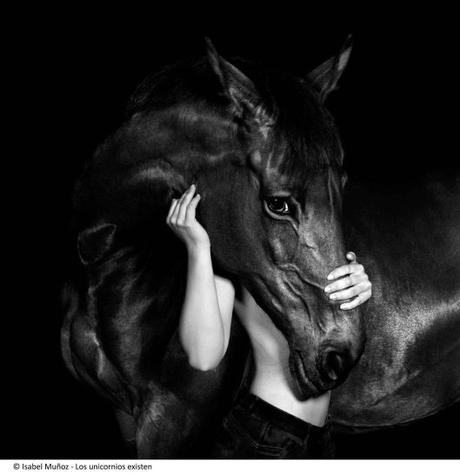 Los unicornios de Hernandez-Muñoz Los unicornios de Hernandez-Muñoz