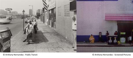 Los unicornios de Hernandez-Muñoz Los unicornios de Hernandez-Muñoz