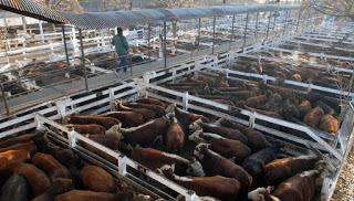 U$S175 millones en inmuebles, para Paseo del Bajo