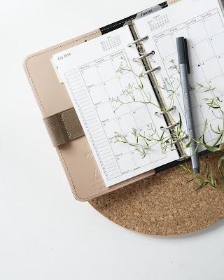 Calendario, bolígrafo y rama verde 