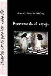 Atravesando el espejo