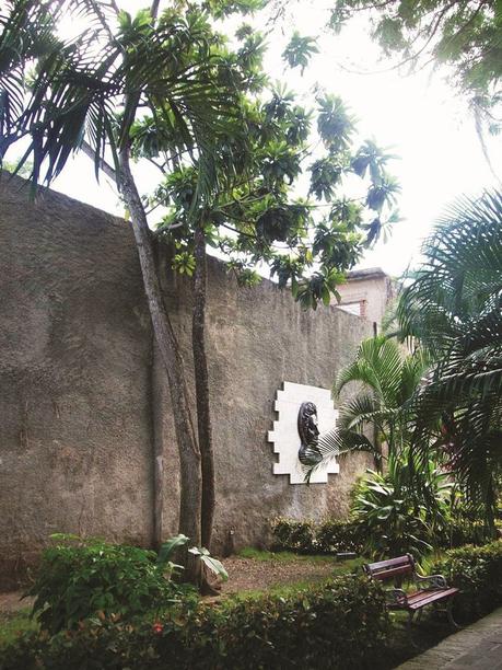 Del árbol que Amalia sembró para su Ignacio