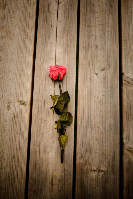 Mi falda más versátil (OOTD) Mi falda más versátil (OOTD)