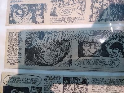 Selva Misteriosa , se reencuentra con sus lectores después de mas de 40 años. Selva Misteriosa , se reencuentra con sus lectores después de mas de 40 años.