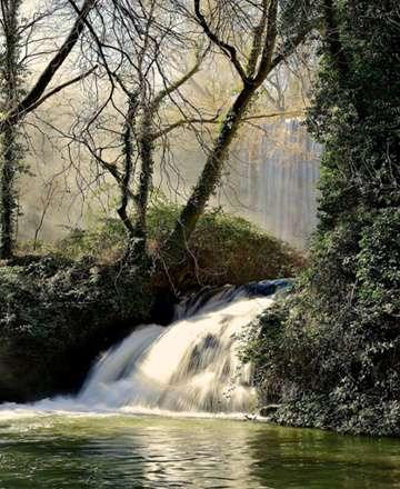 Monasterio de Piedra, Baño de Diana y Caprichosa