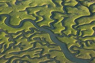 Números complejos. Números complejos.