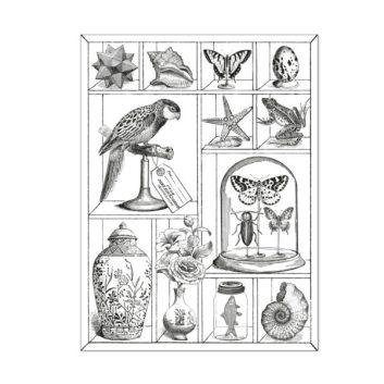 De la ciencia sin consciencia y sus objetos (una reflexión sobre los vientres de alquiler), por C. Godefroid