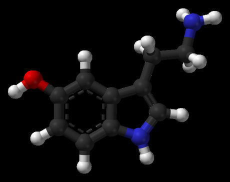 Cómo afecta la cafeína cerebro química serotonin