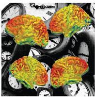 El Reloj Cerebral funciona de manera diferente en el Autismo