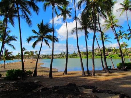 Playa de Anaeho omalu Bay. Waikoloa. Hawai