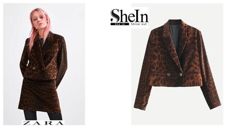 A la busqueda del Clon.