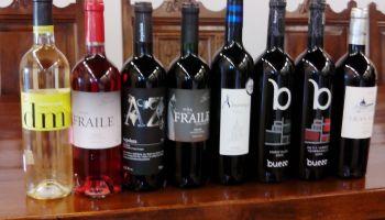 Cata en Covarrubias con D.O. Arlanza 16/05/14