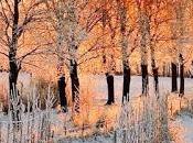 acerca nieve...