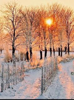 YA SE ACERCA LA NIEVE...