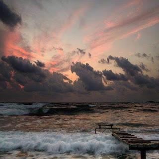 TU POESÍA ES HELADA...
